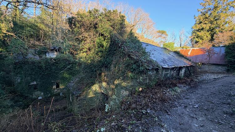 Lerry Mills, Talybont SY24 5ED