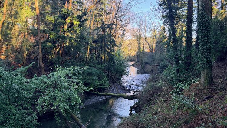 Lerry Mills, Talybont SY24 5ED