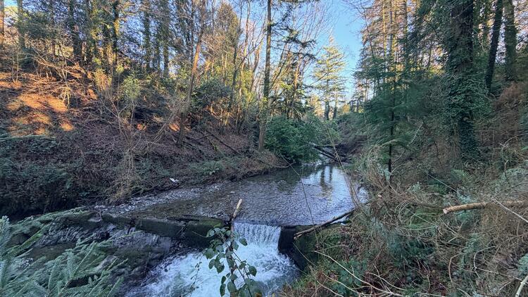 Lerry Mills, Talybont SY24 5ED