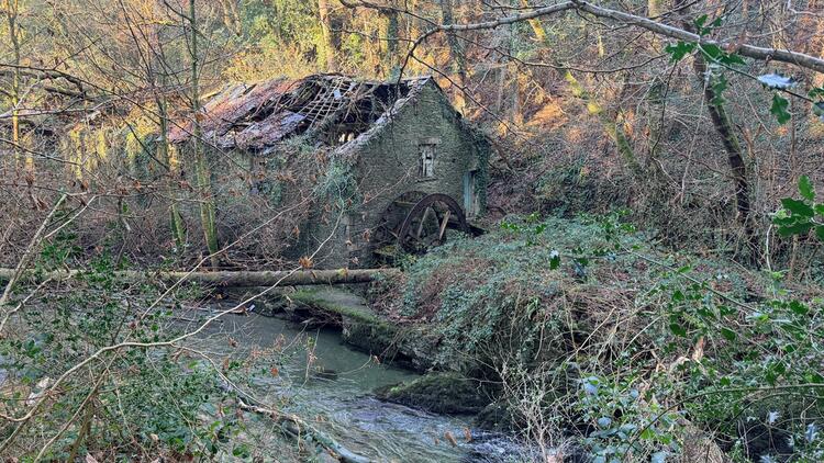 Lerry Mills, Talybont SY24 5ED