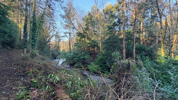 Lerry Mills, Talybont SY24 5ED