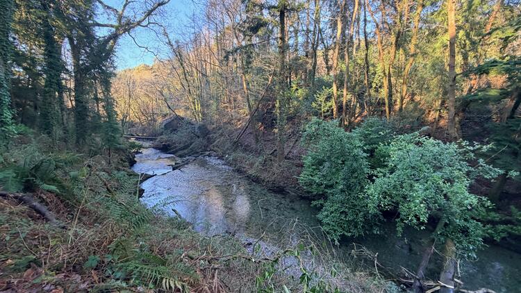 Lerry Mills, Talybont SY24 5ED