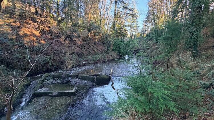 Lerry Mills, Talybont SY24 5ED