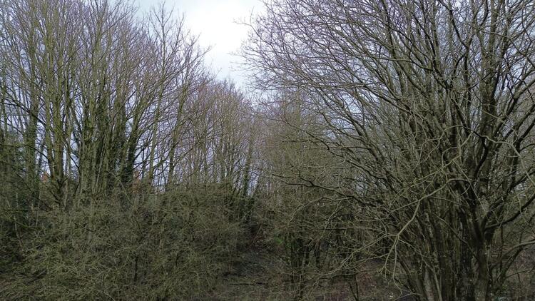 Plot 1, Land with Planning Permission , North of Springfield Road, Kearsley, Bolton, Greater Manchester BL4 8NB