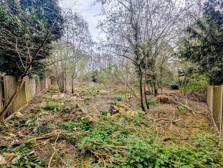 Land in Crawley image 5
