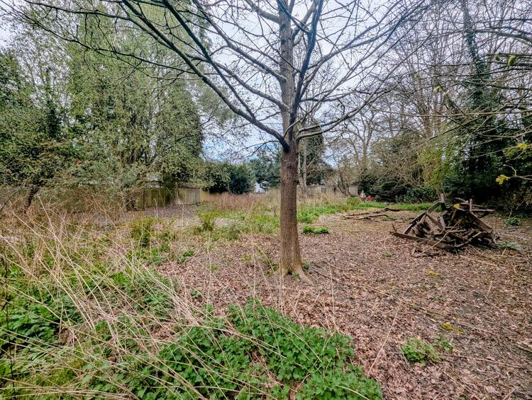 Land in Crawley image 3