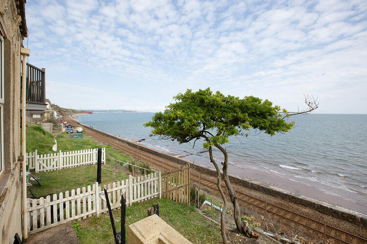 Terraced House in Dawlish image 2