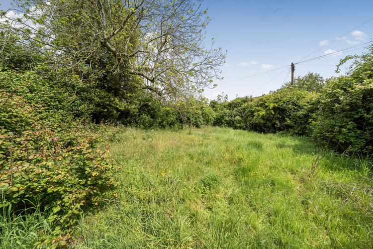 Detached House in Bedford image 2