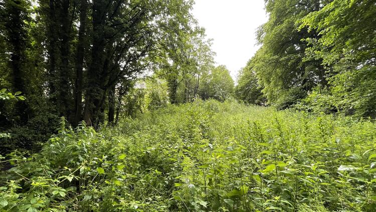 Land at Cornmill Yard, Skipton Road, Steeton, Keighley, West Yorkshire BD20 6NR