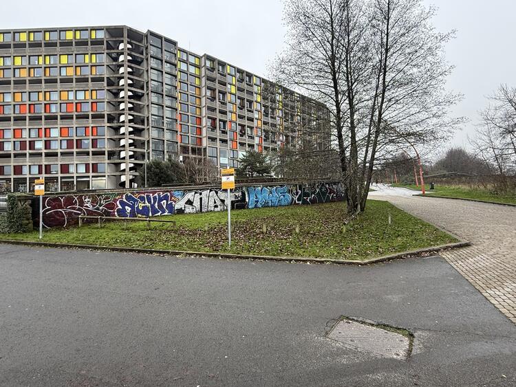 Land in Sheffield image 3