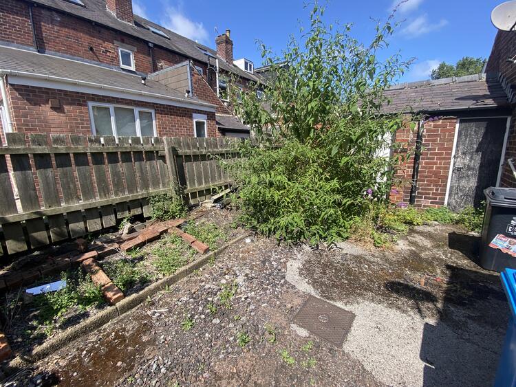 Terraced House in Sheffield image 3