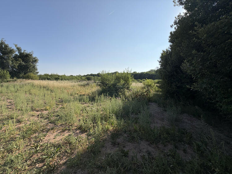 Land in Leominster image 2